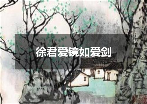 徐君爱镜如爱剑