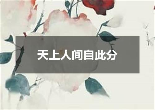 天上人间自此分