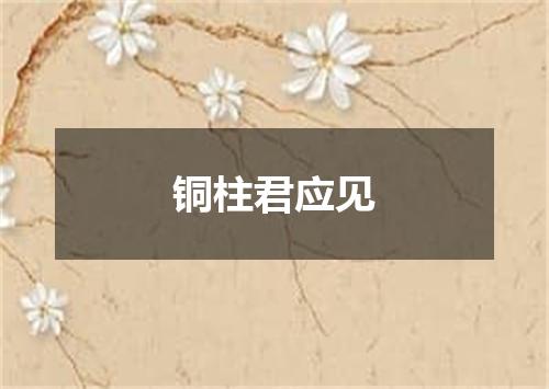 铜柱君应见
