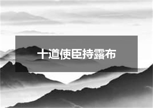 十道使臣持露布