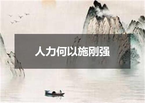 人力何以施刚强