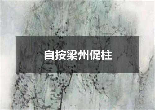 自按梁州促柱