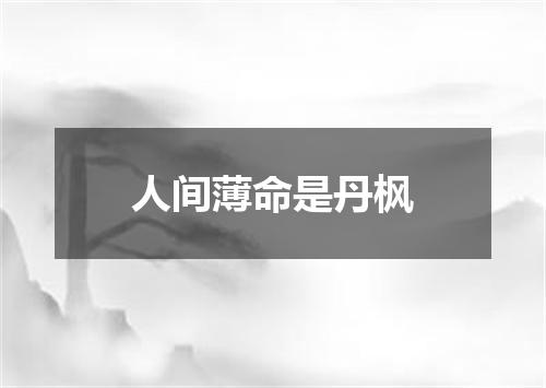人间薄命是丹枫