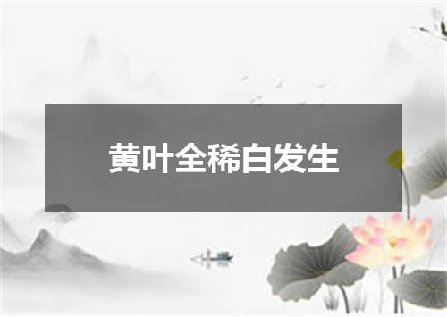 黄叶全稀白发生