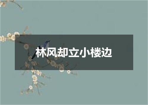 林风却立小楼边