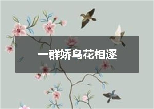 一群娇鸟花相逐