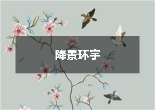 降景环宇