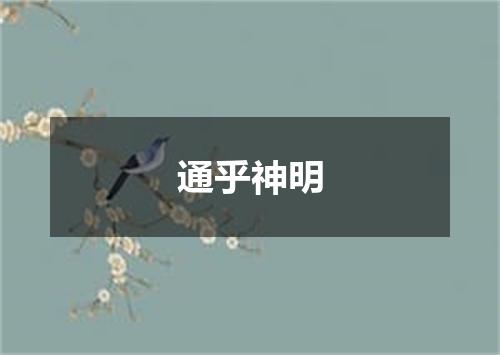 通乎神明