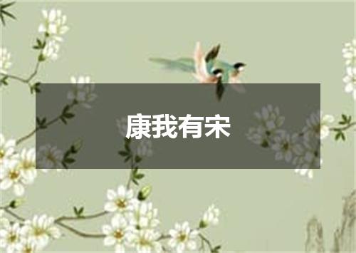 康我有宋