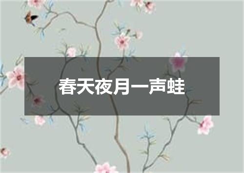 春天夜月一声蛙