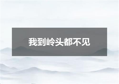 我到岭头都不见