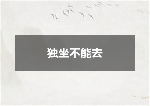 独坐不能去
