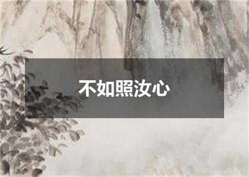 不如照汝心