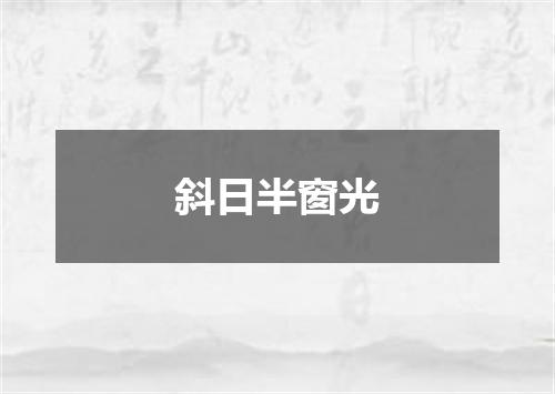 斜日半窗光