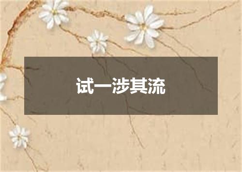 试一涉其流
