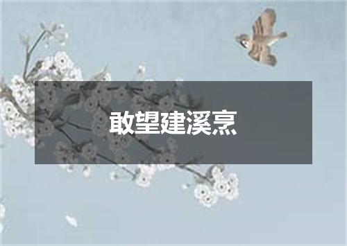 敢望建溪烹