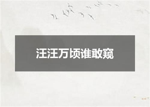汪汪万顷谁敢窥