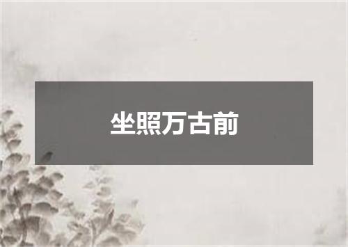 坐照万古前