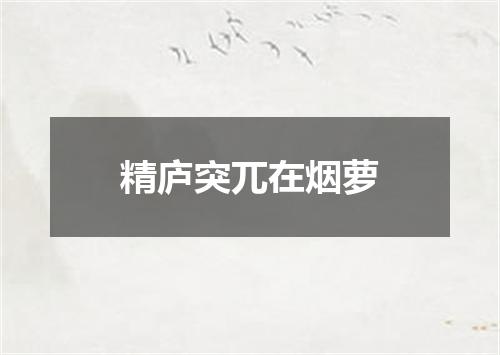精庐突兀在烟萝