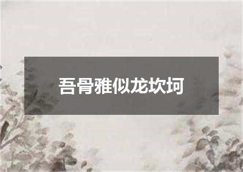 吾骨雅似龙坎坷