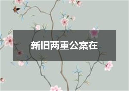 新旧两重公案在