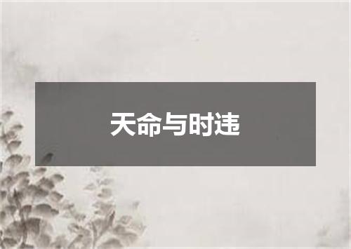 天命与时违