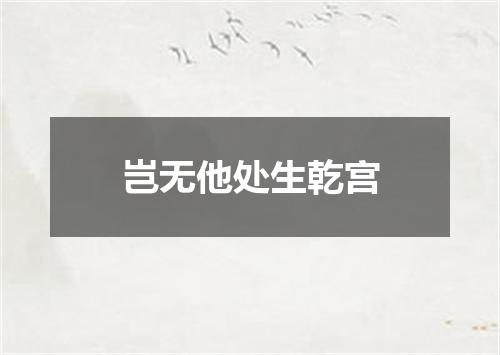 岂无他处生乾宫