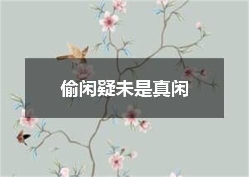 偷闲疑未是真闲
