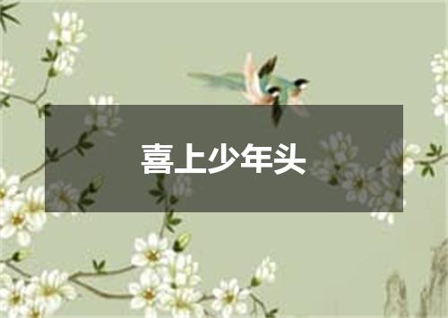 喜上少年头