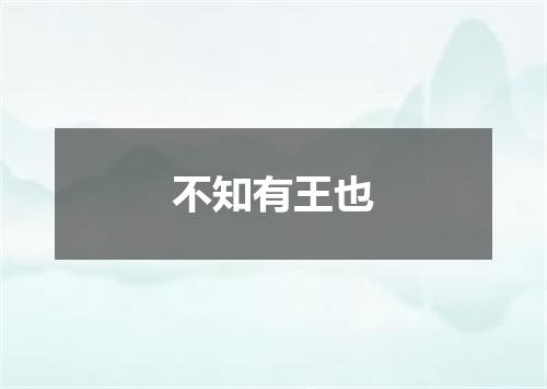 不知有王也