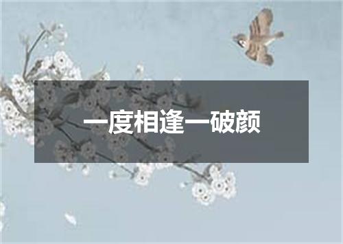 一度相逢一破颜