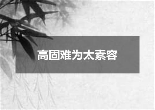 高固难为太素容