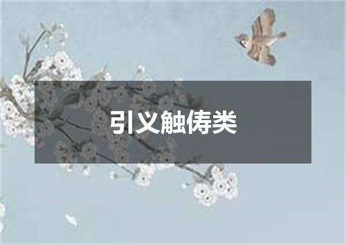 引义触俦类