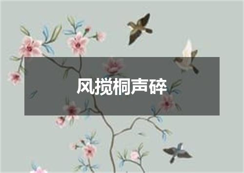 风搅桐声碎