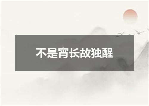不是宵长故独醒