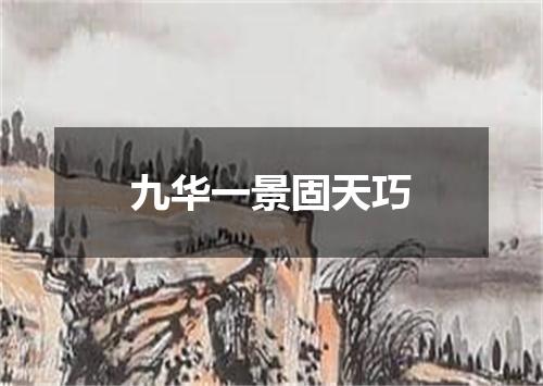 九华一景固天巧