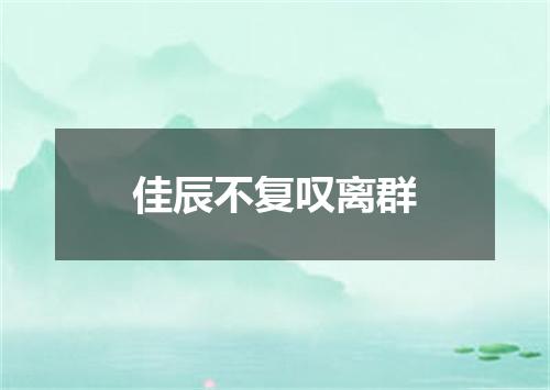 佳辰不复叹离群