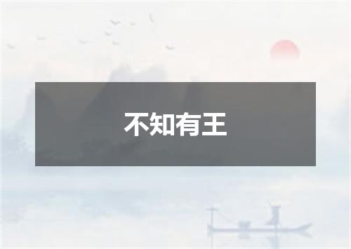 不知有王
