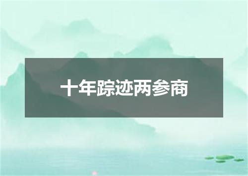 十年踪迹两参商