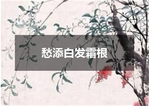 愁添白发霜根