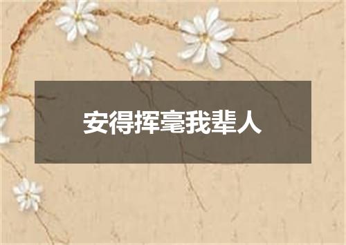 安得挥毫我辈人