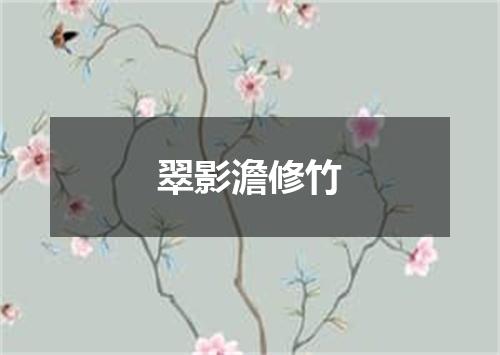 翠影澹修竹