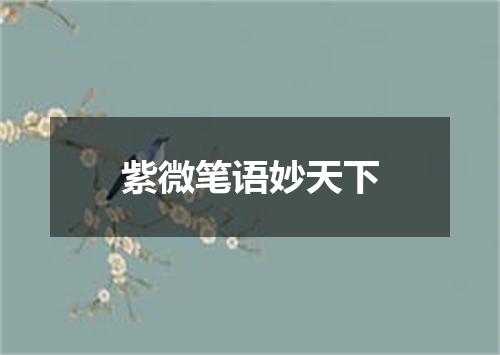 紫微笔语妙天下
