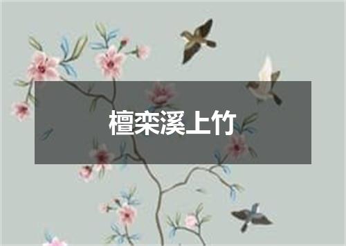 檀栾溪上竹