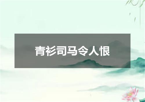青衫司马令人恨