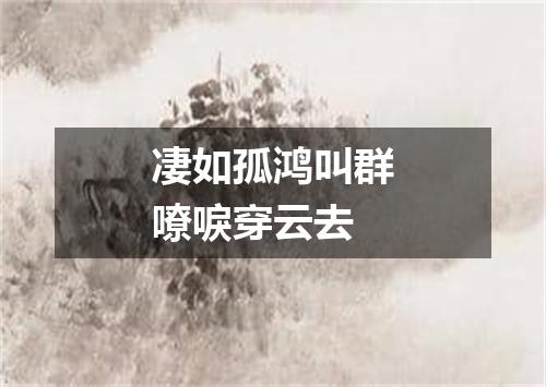 凄如孤鸿叫群嘹唳穿云去