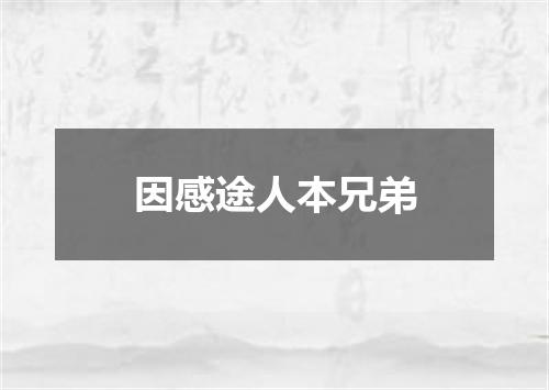 因感途人本兄弟