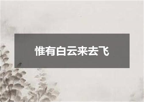 惟有白云来去飞