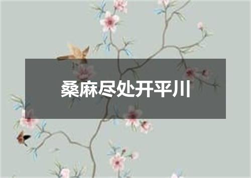 桑麻尽处开平川