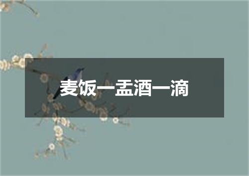 麦饭一盂酒一滴